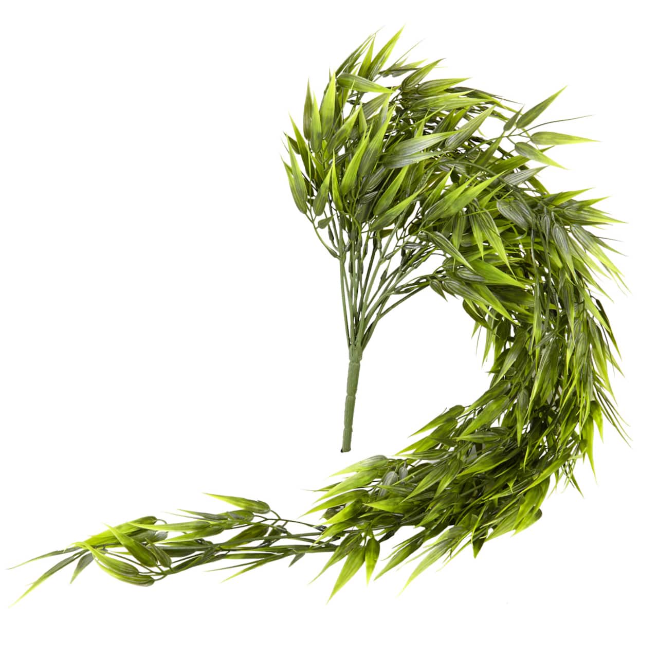 Hanging Bamboo Fern Bush Fern Collection by Ashland®